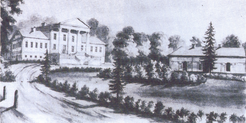Portfolio Image